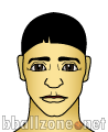 H. Vizcaino logo